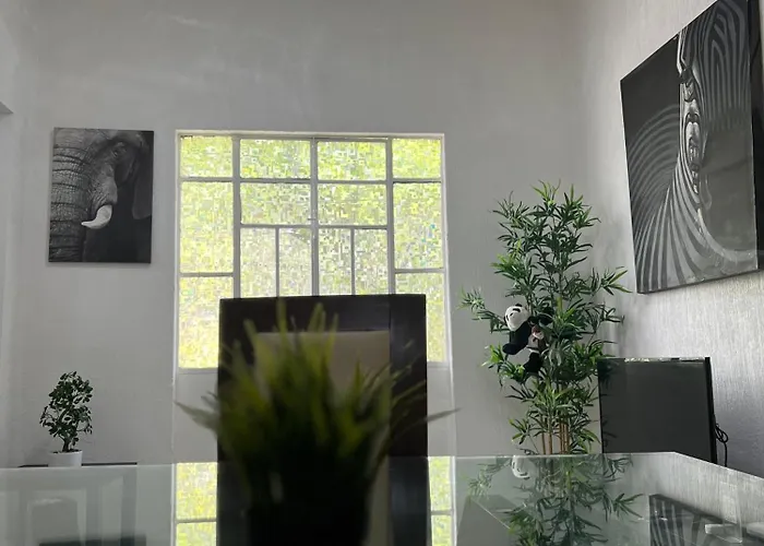 Apartment Impecable Depto En La Roma Mexico City